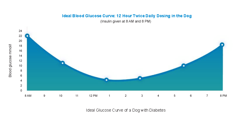 glucose-curves-for-dogs-caninsulin